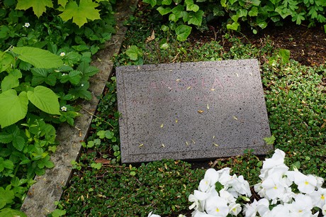 Bad Godesberg